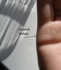 Линия брака на руке: фото с расшифровкой